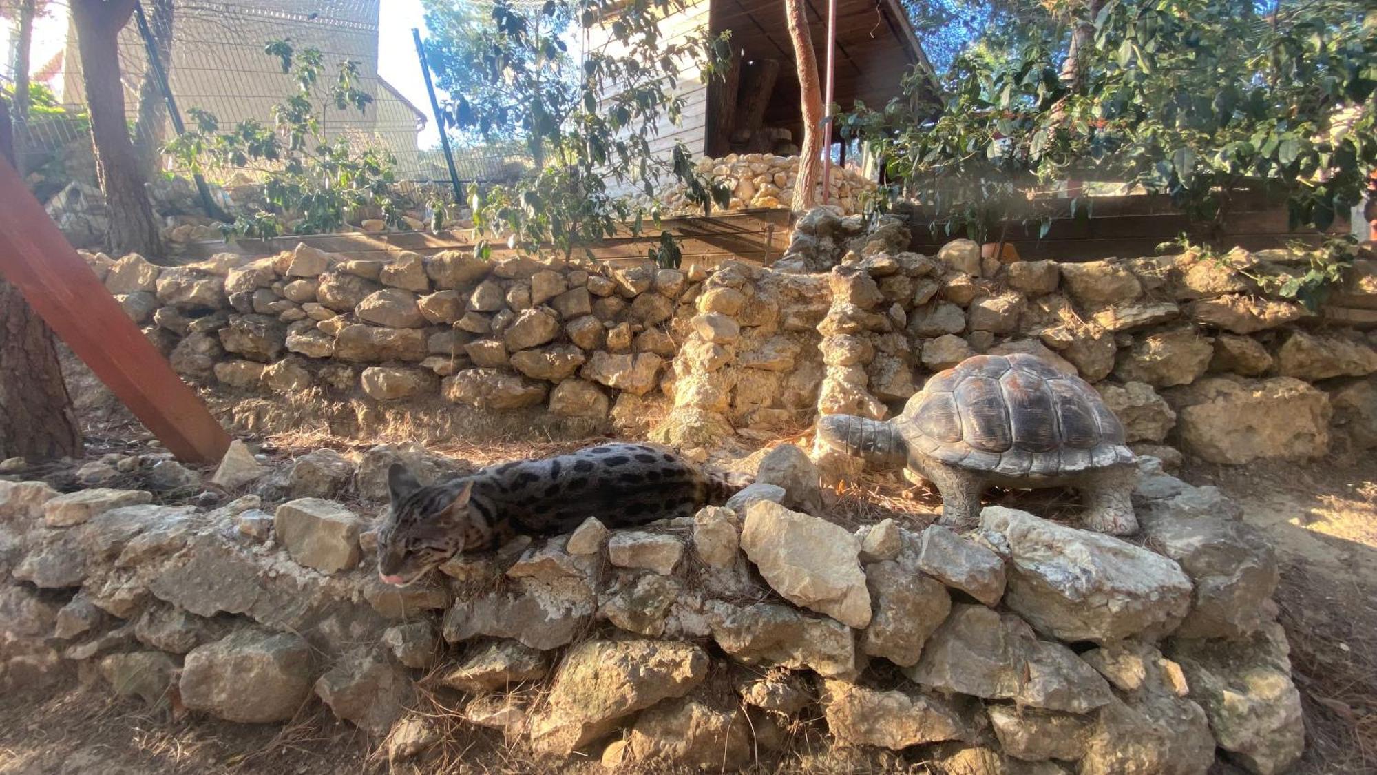 Les Jardins De L'Oustal Villa Narbonne Eksteriør billede